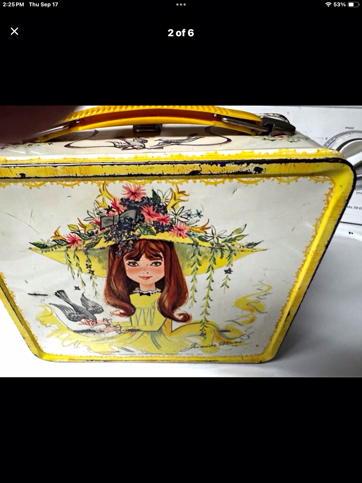 Vintage Jan Hagara Metal Lunch Box – 1973 Aladdin Industries