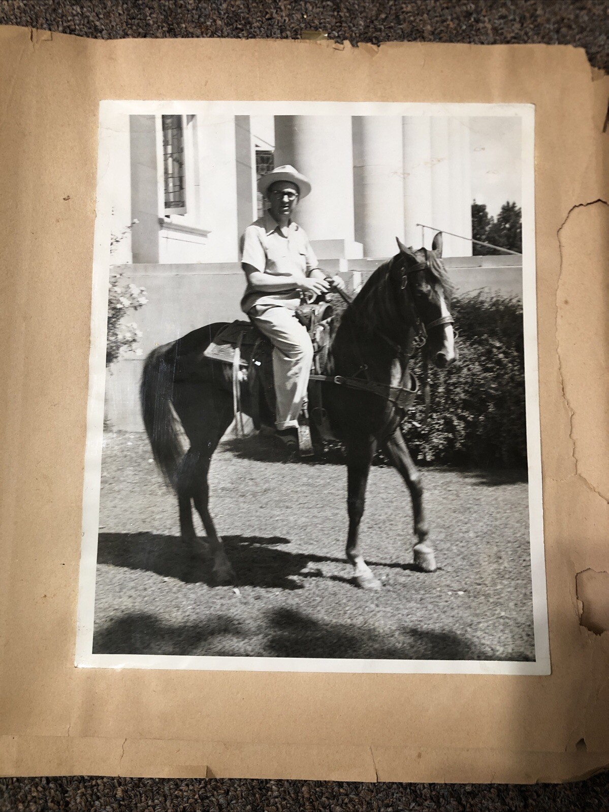 Antique Vintage 1940’s 1950\'s Horse Scrapbook Full Of B&W Pics Americana Antique Vintage 1940’s 1950\'s Horse Scrapbook Full Of B&W Pics Americana