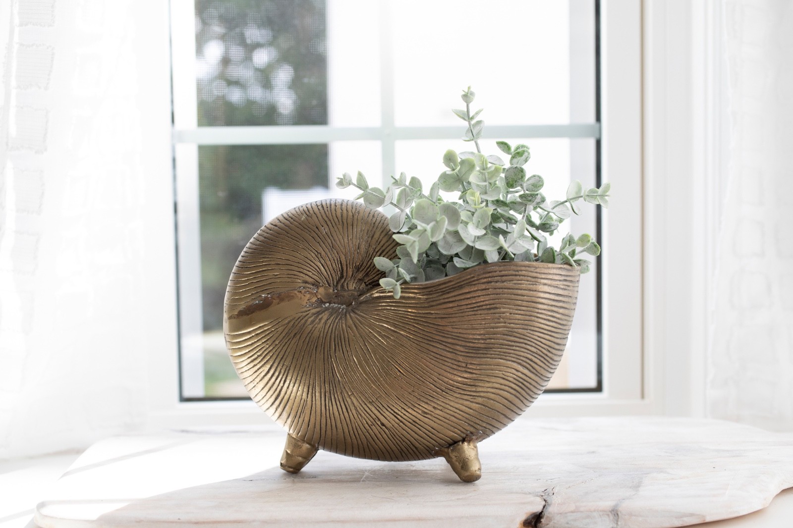 Vintage Brass Nautilus Shell Planter Footed Heavy Cast Metal Nautical Decor