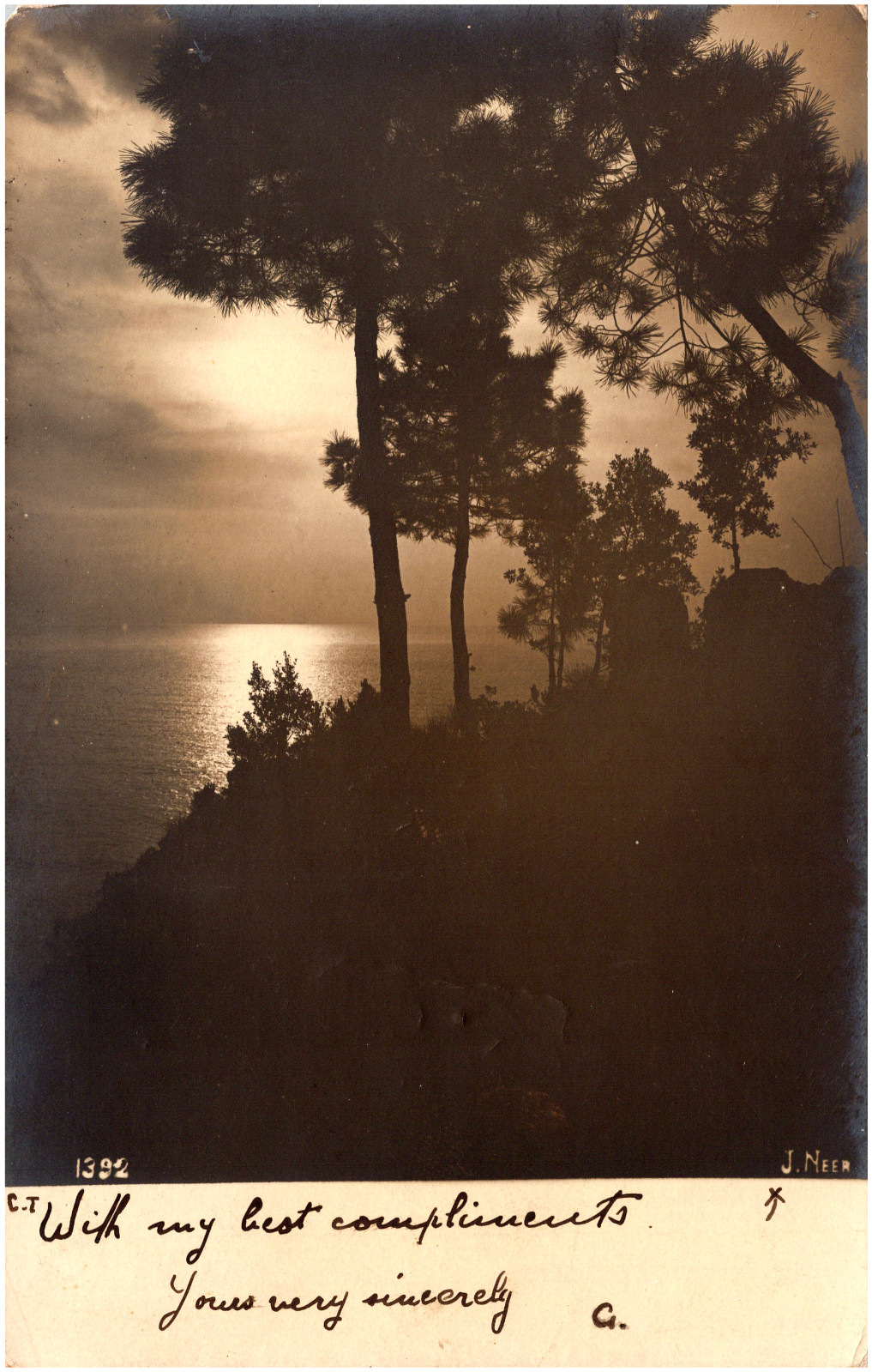 Scenic View from Villa Gentile Nervi Genoa Italy 1900s RPPC Postcard UDB