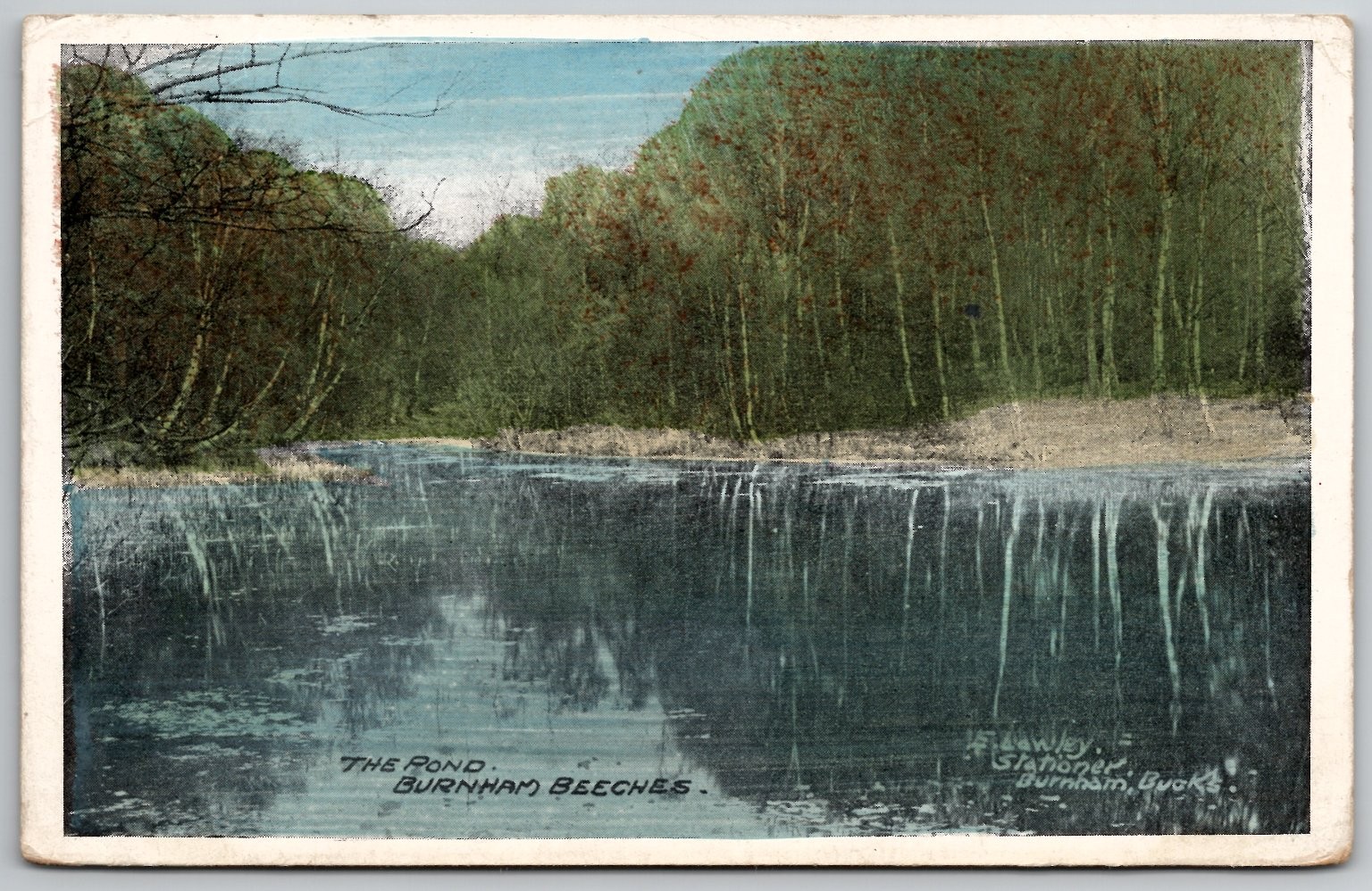 Burnham Beeches The Pond Postcard 1910 S. Hawley Bucks UK
