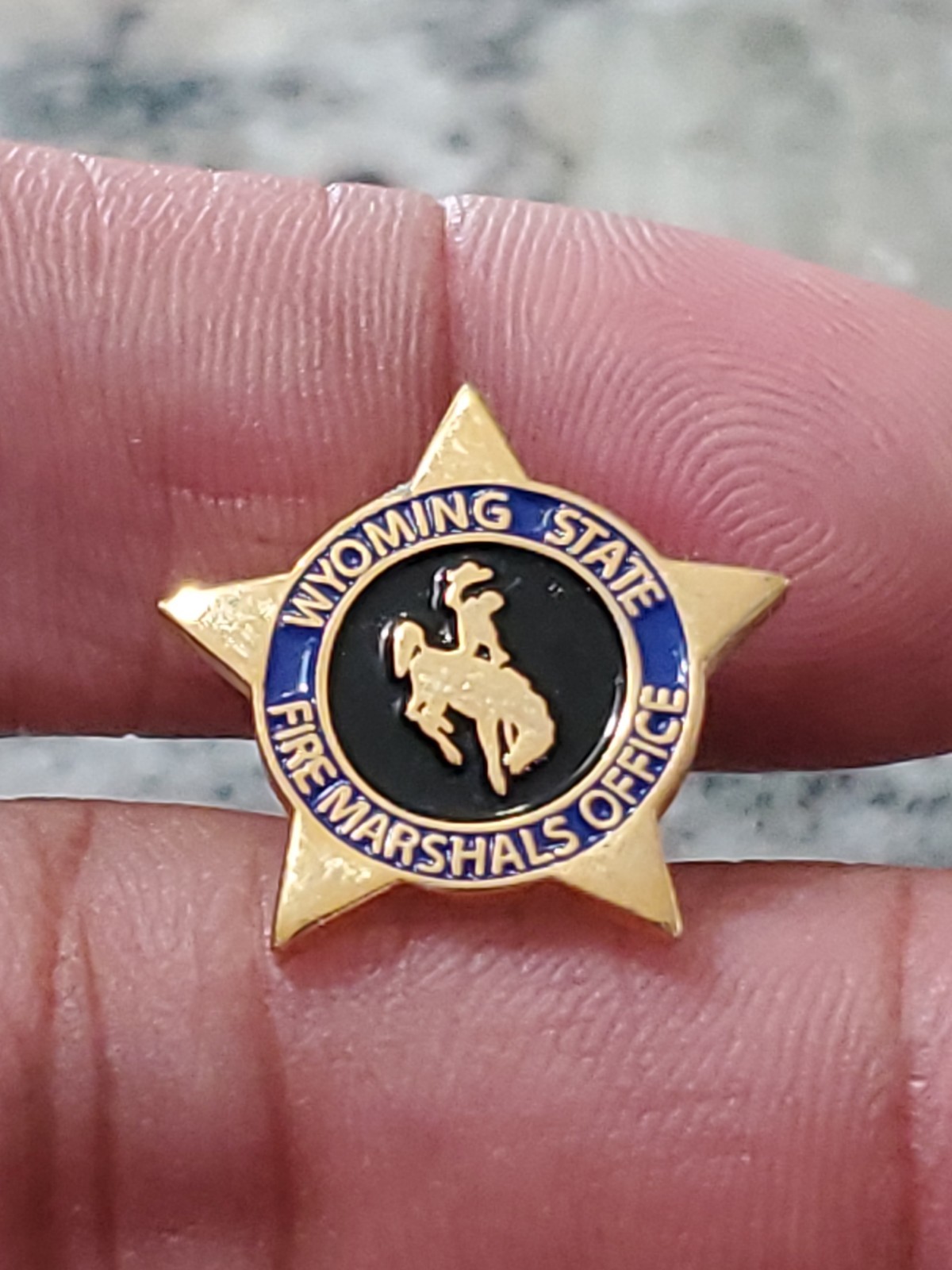 RARE Wyoming State Fire Marshals Office Pin