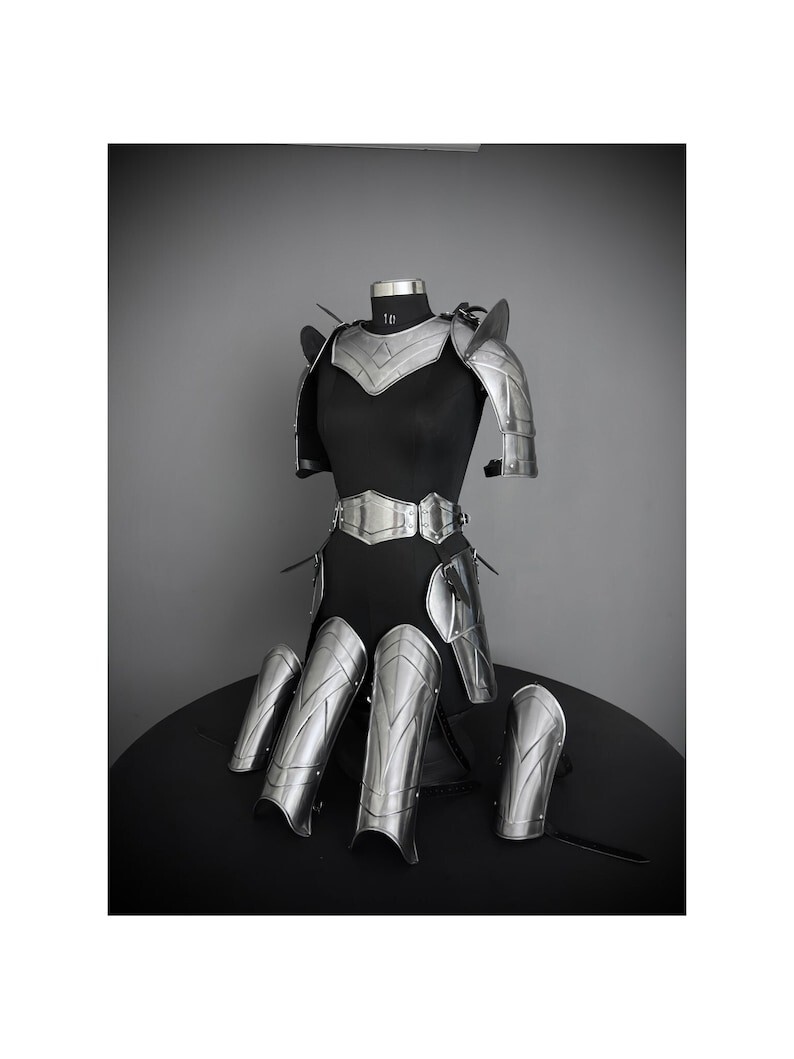 Medieval Warrior Ancient Cuirass Brave Lady Armor Cosplay/Halloween Costume Medieval Warrior Ancient Cuirass Brave Lady Armor Cosplay/Halloween Costume