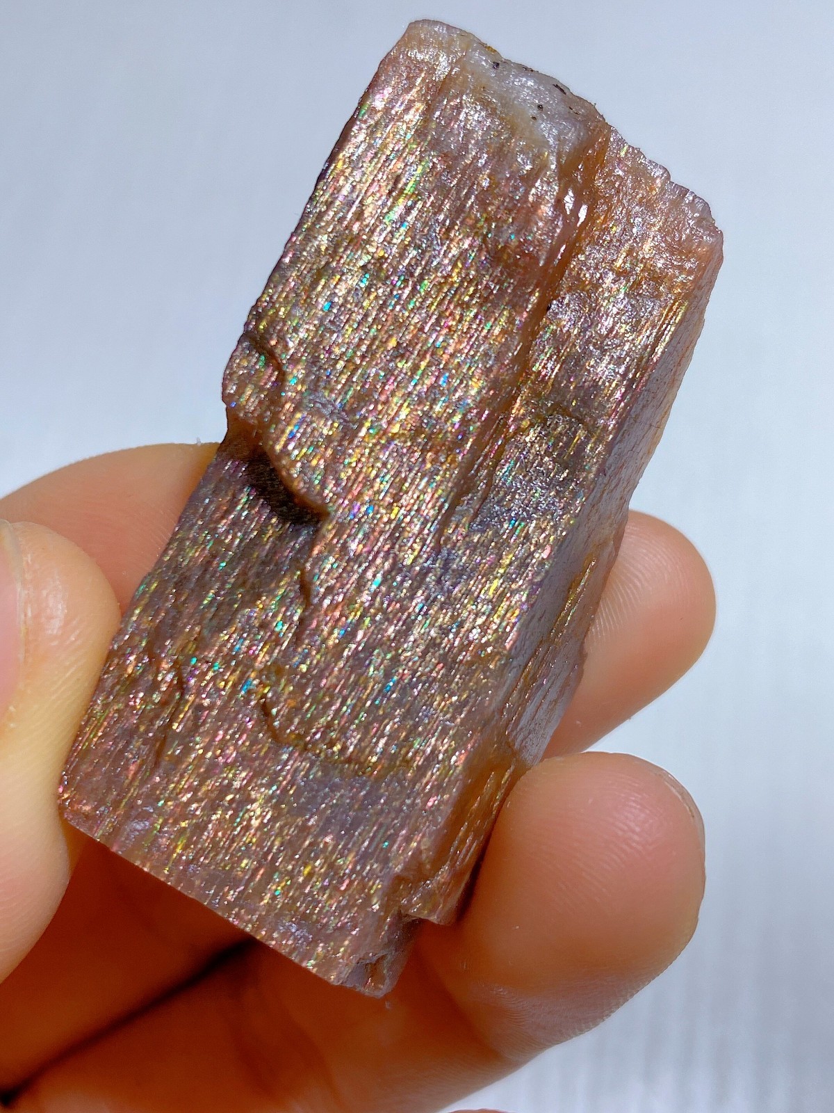 Golden Rainbow Lattice Sunstone Raw Specimen, Schiller Effect Mineral Specimen
