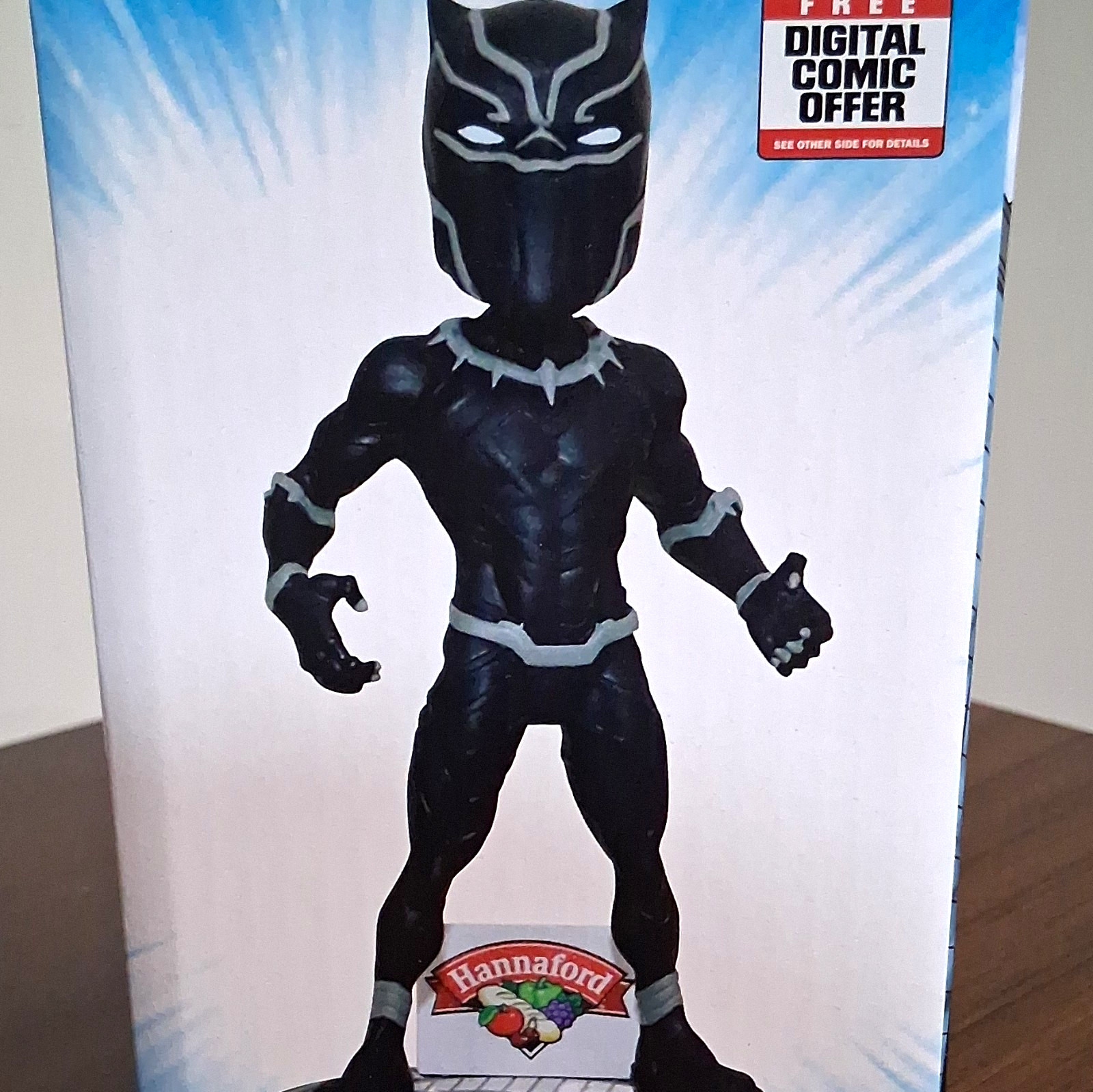 Black Panther Hudson Valley Renegades (Yankees Affliate) Black/Silver