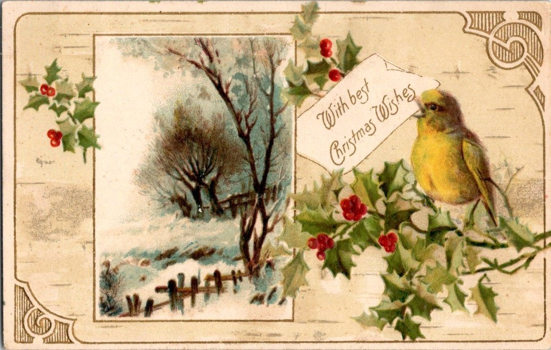 Vintage 1907 Christmas Postcard Bird Holly Snowy Winter Scene