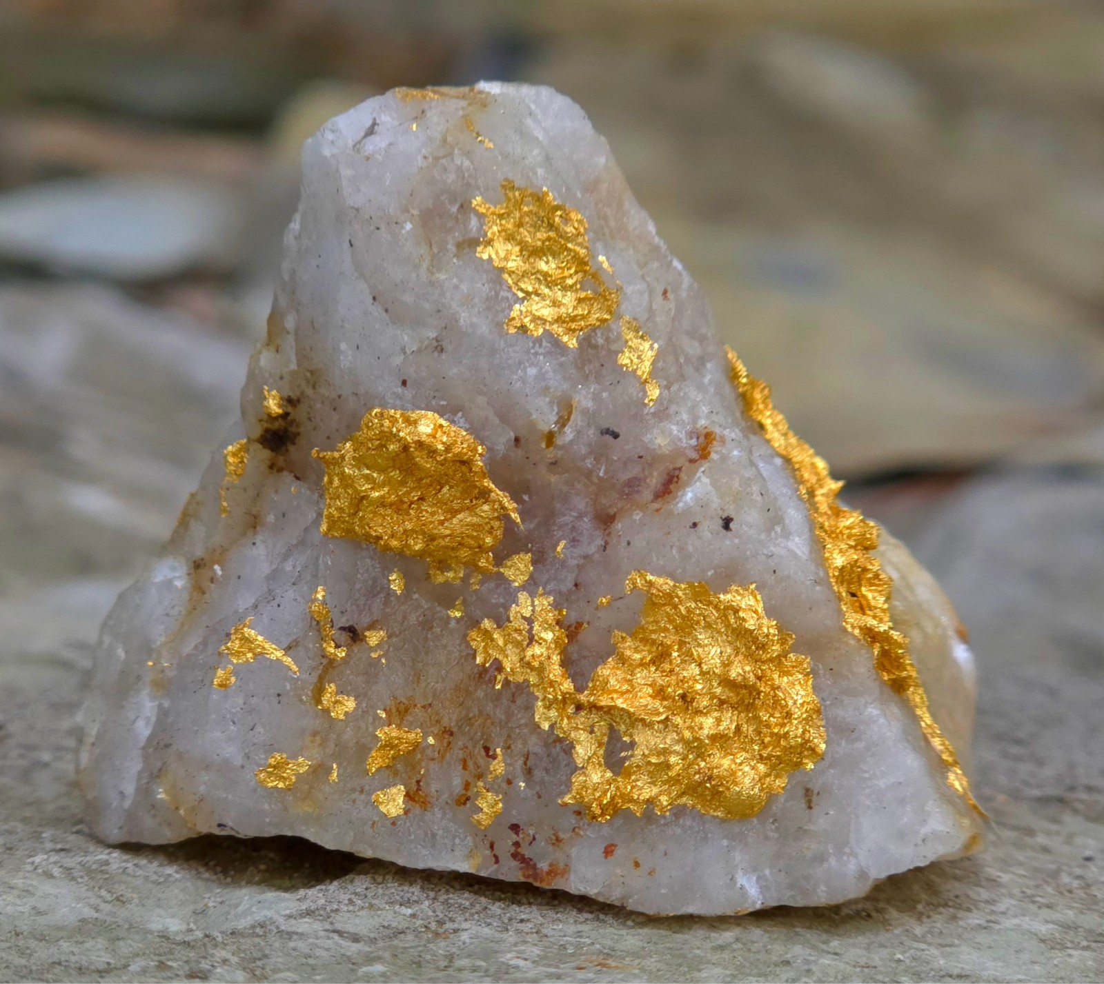 Gold Ore Specimen 49.69g Telluride Gold☆VERY NICE☆FROM ONTARIO 