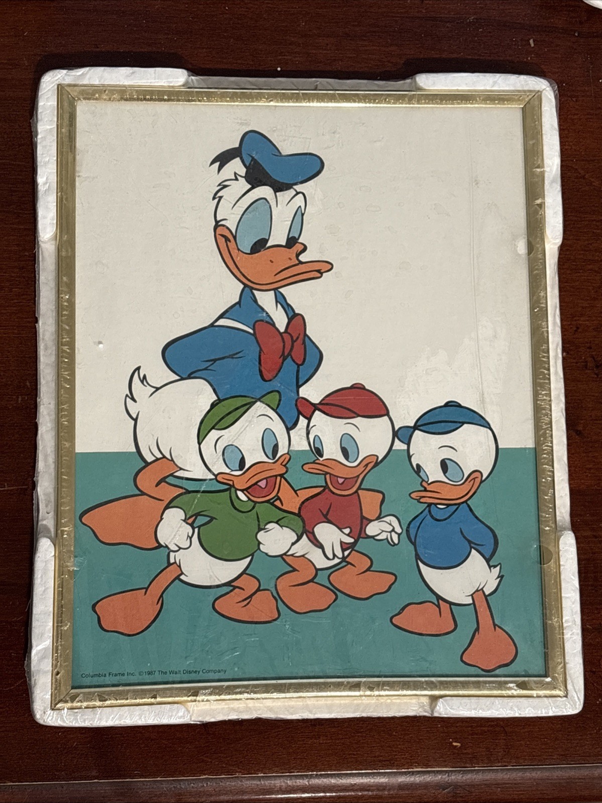 Vintage 1987 Framed Disney’s Donald Duck Huey Dewey Louie Columbia Print Vintage 1987 Framed Disney’s Donald Duck Huey Dewey Louie Columbia Print