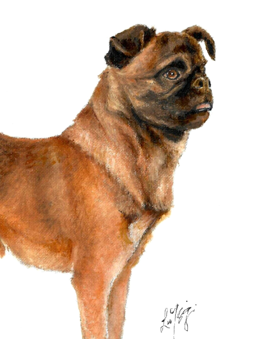 ❦ ORIGINAL Oil Portrait Painting BRUSSELS GRIFFON Artist Signed Dog Artwork Art