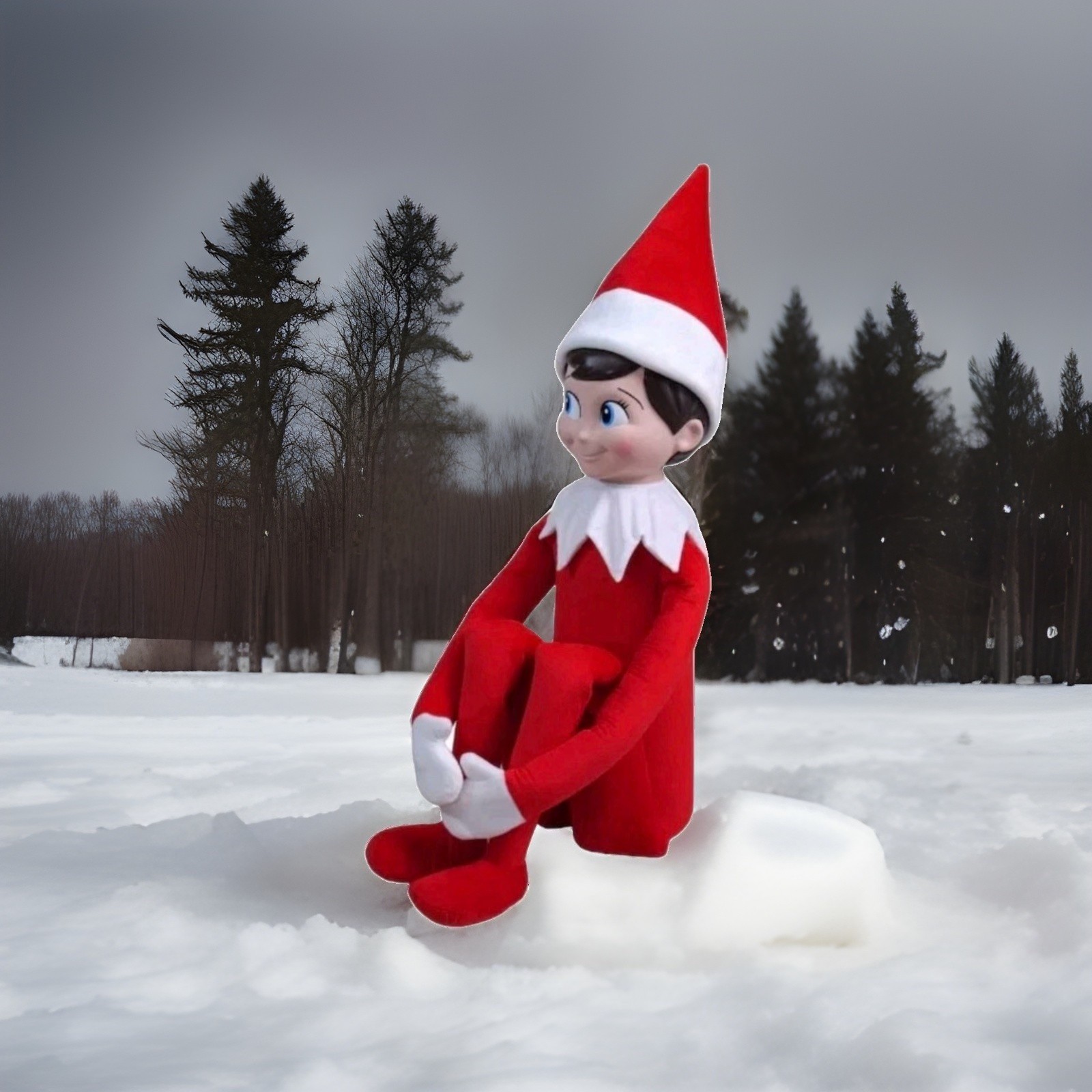 BRAND NEW Lowes 5 Foot (4' 10') Poseable Elf On A the Shelf Same Day Ship BRAND NEW Lowes 5 Foot (4' 10') Poseable Elf On A the Shelf Same Day Ship