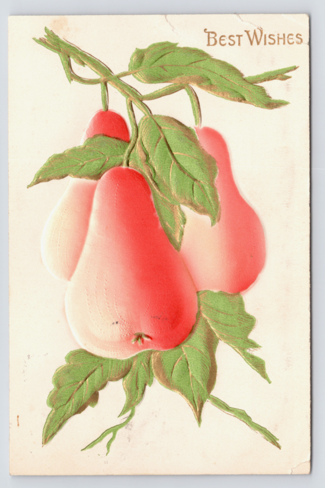 c1909 Airbrushed Pears Fruit Postcard Chanhassen MN Embossed Made in Germany