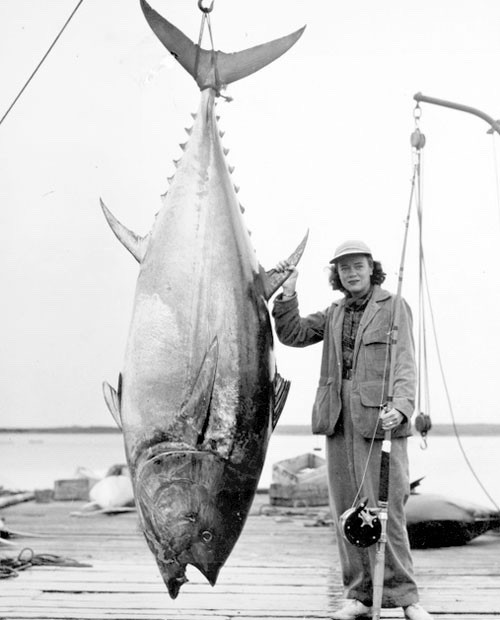 Kay Topping with a 587-pound giant bluefin tuna Photo 8.5x11 Paper LusterVintage