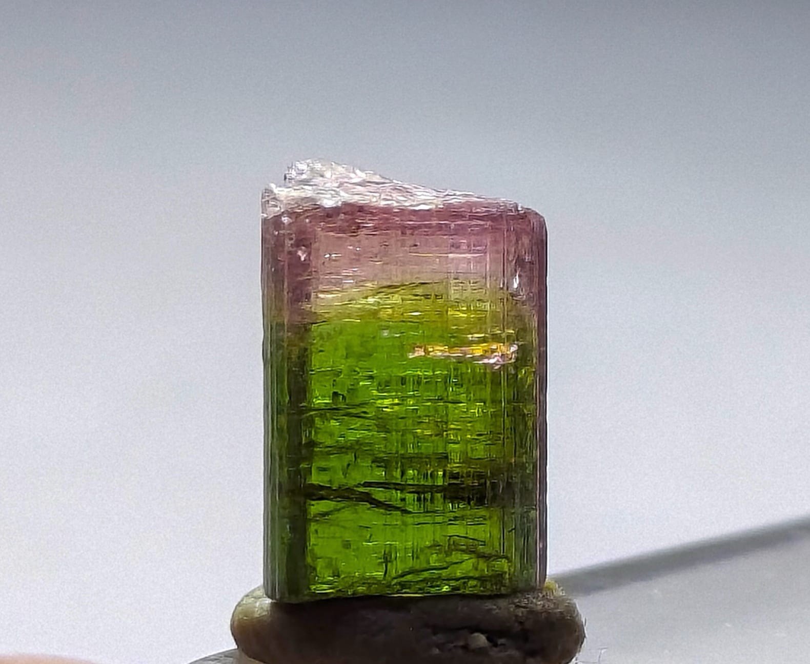Saturated Top Quailty PinkCap Bi-Colour Tourmaline Crystal From Afghnistan