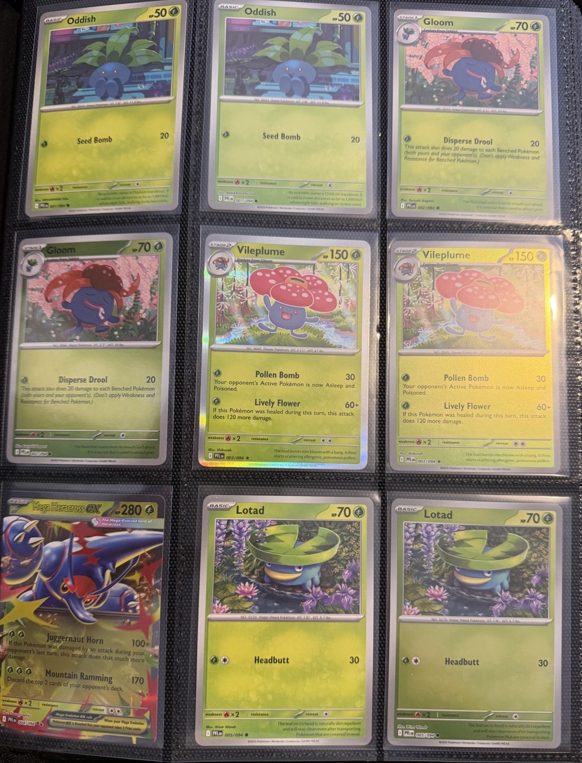 Phantasmal Flames 100% Complete Master Base Set 178 Cards w EX & Reverse Holo