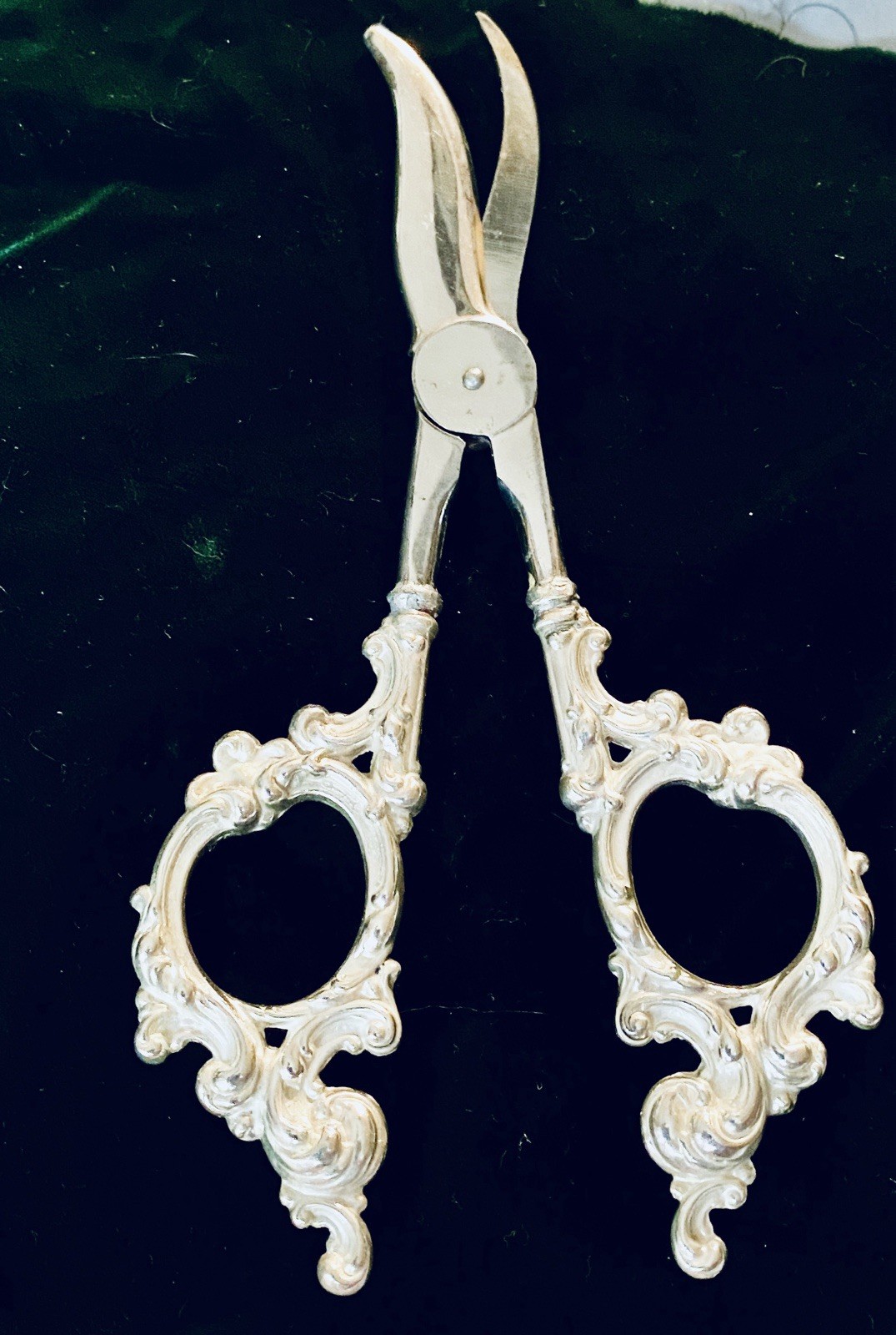 SALE Antique Sterling Silver Grape Shears circa 1852. Beautiful.