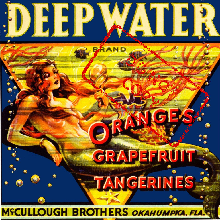Deep Water Oranges Okahumpka Florida Mermaid Fruit Crate Label Art Print 8x8 Deep Water Oranges Okahumpka Florida Mermaid Fruit Crate Label Art Print 8x8