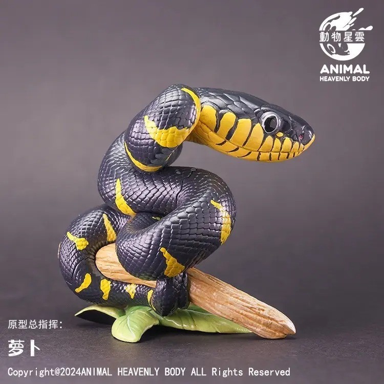 Animal Heavenly Body Mangrove Gold-ringed Cat Sanke Statue Boiga dendrophila mel