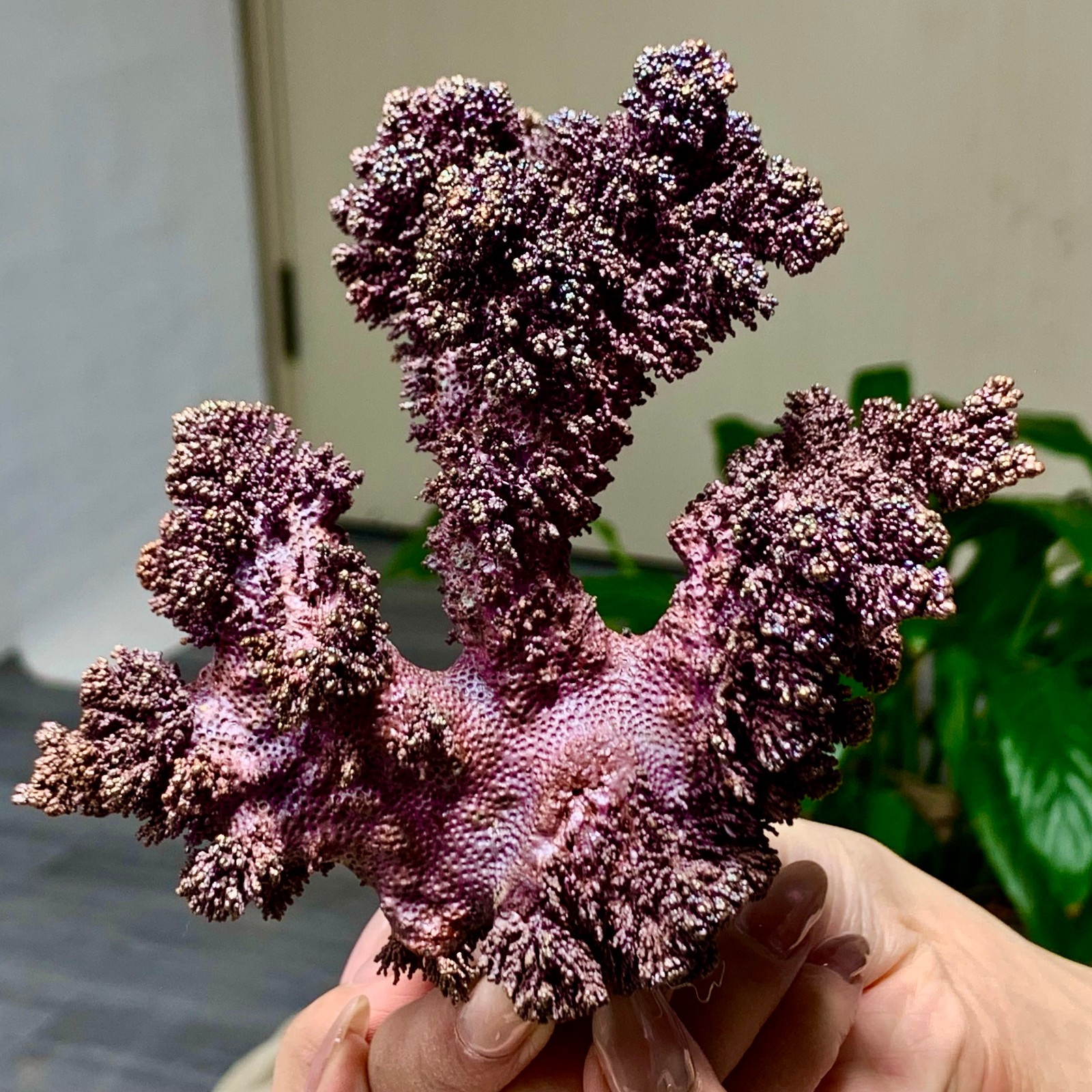 296G  Rare purple iridescent Native Copper crystal mineral specimen