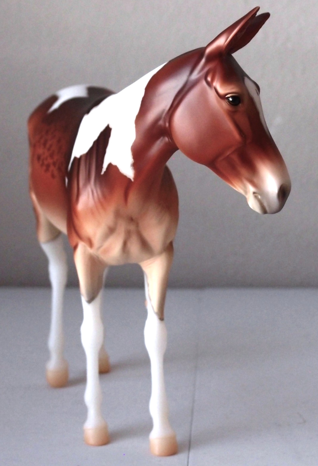 Breyer Winnifred Premier Club 2025 Pinto Mule with COA Bag & Box CRISP MARKINGS Breyer Winnifred Premier Club 2025 Pinto Mule with COA Bag & Box CRISP MARKINGS
