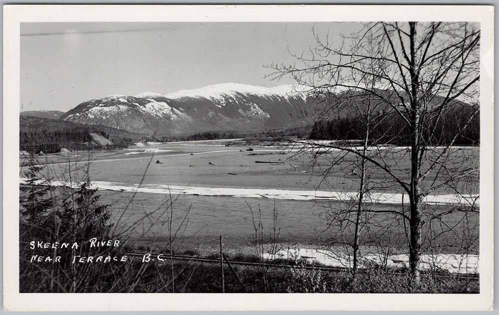 Skeena River Near Terrace BC RPPC Snow Mountain View Canada Postcard H87