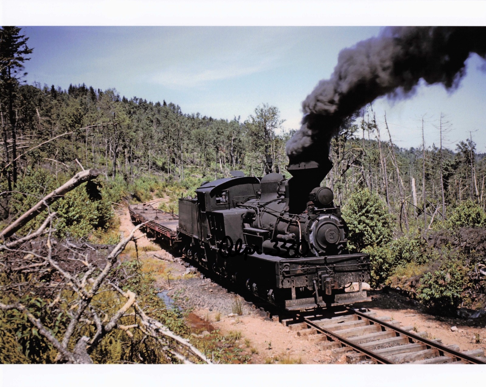 8 x 10 Photo: Mower Lumber Co # 5 ( Date 7/30/1958