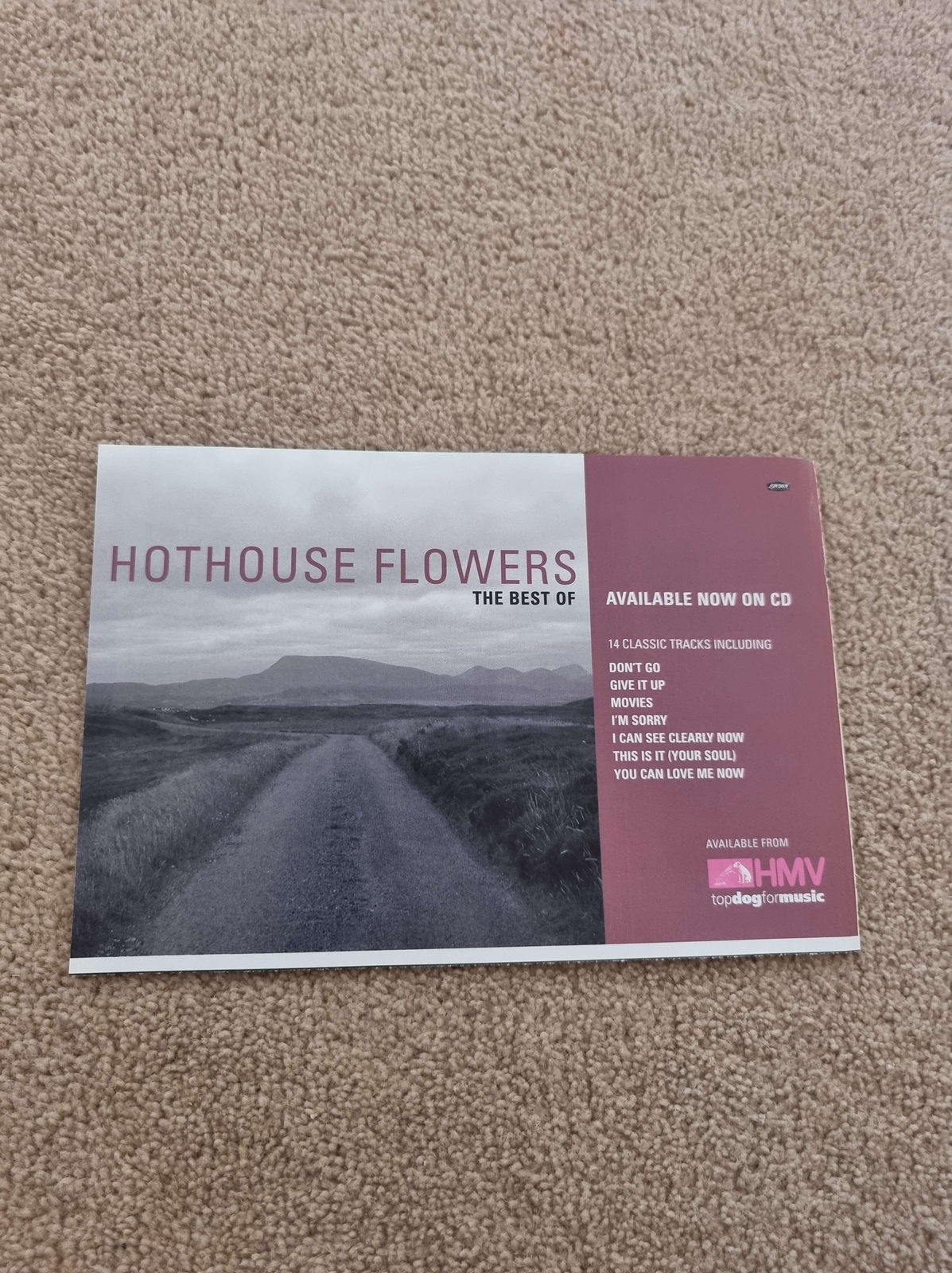 TNEWM115 ADVERT 5X8 HOTHOUSE FLOWERS : 'THE BEST OF'
