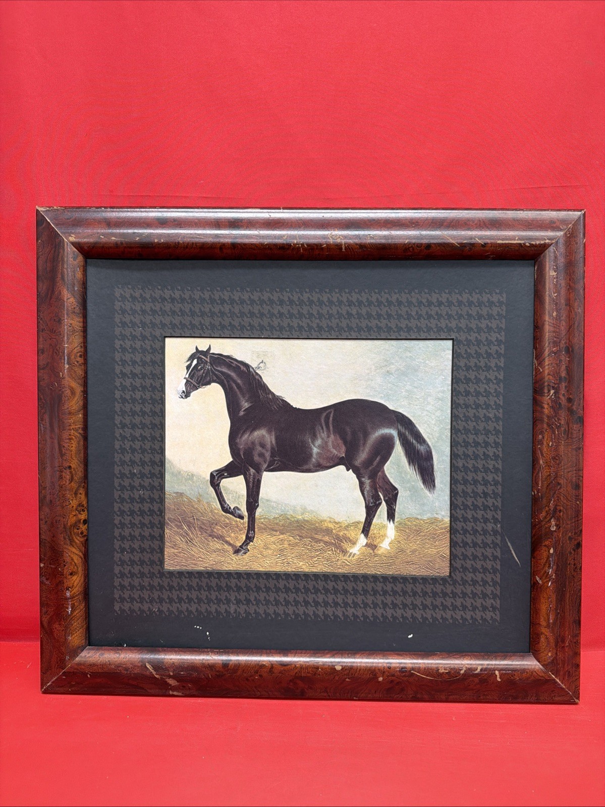 Vintage Framed Black Horse Print Equestrian Wall Art 20.5x18.5” Rustic Decor