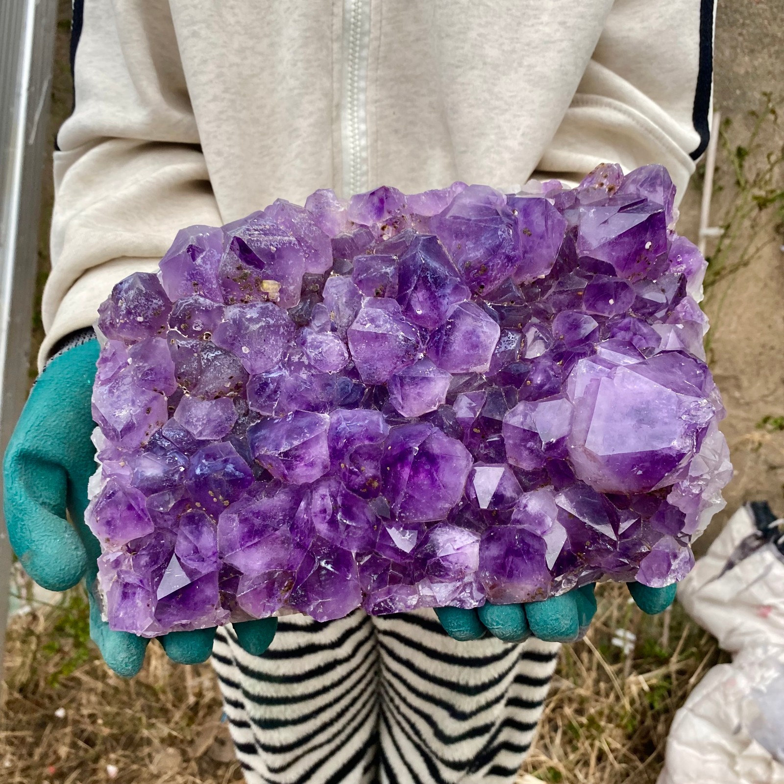 15.21LB Large Natural Amethyst geode quartz cluster crystal specimen Healing