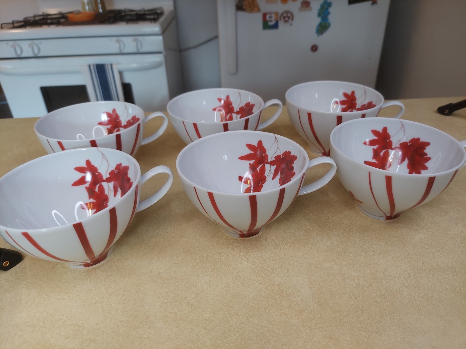 Mikasa Pure Red Mugs Set of 6 SL 134 Porcelain Portugal Red White Stripe Leaf