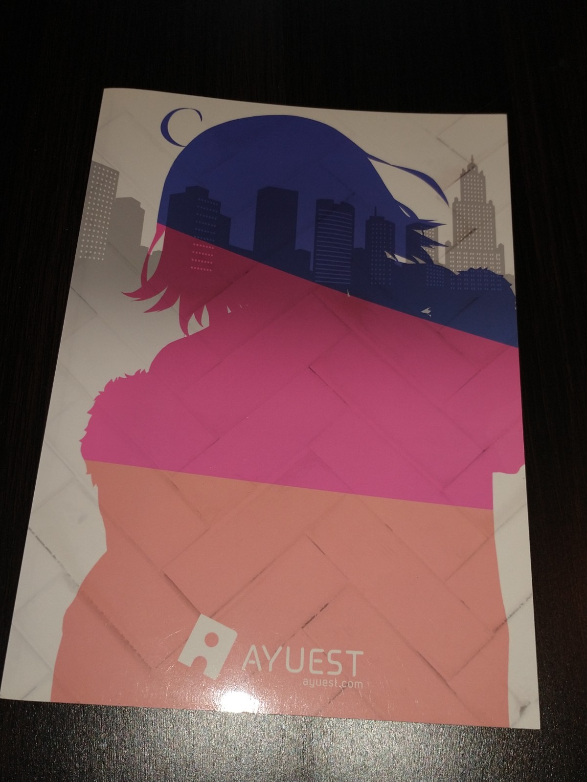 Fate FGO Jeanne d\'Arc Alter Doujinshi B5/28P ナンキョク迷子)  AYUEST