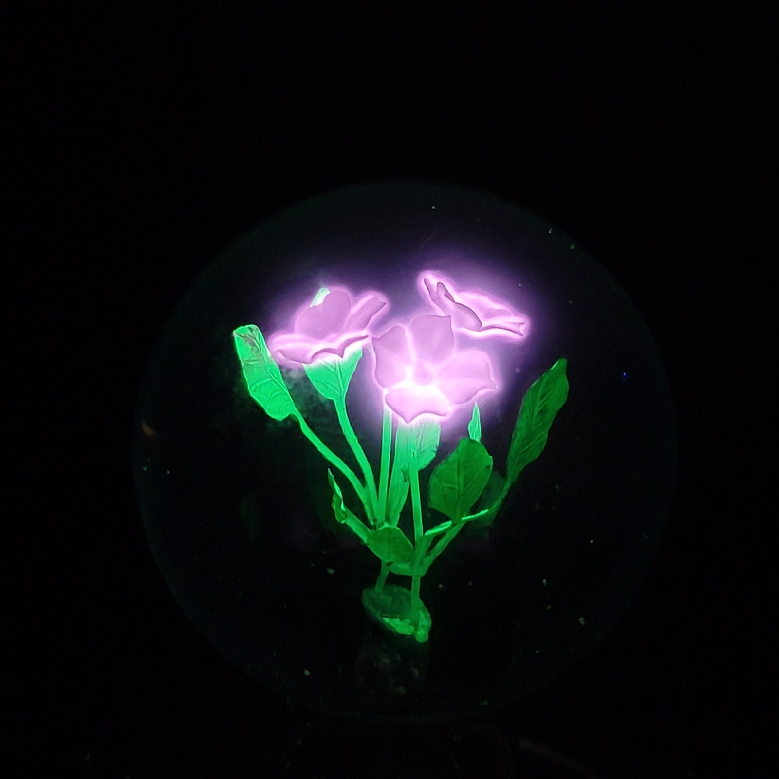 Vintage Aerolux New York Decorative Purple And Green Floral Light Bulb