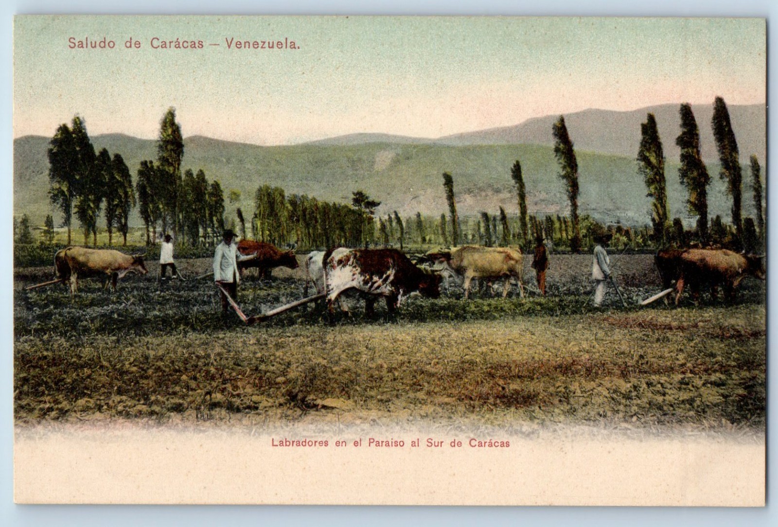Caracas Venezuela Postcard Farmers at Work Greetings from Caracas c1910 Antique