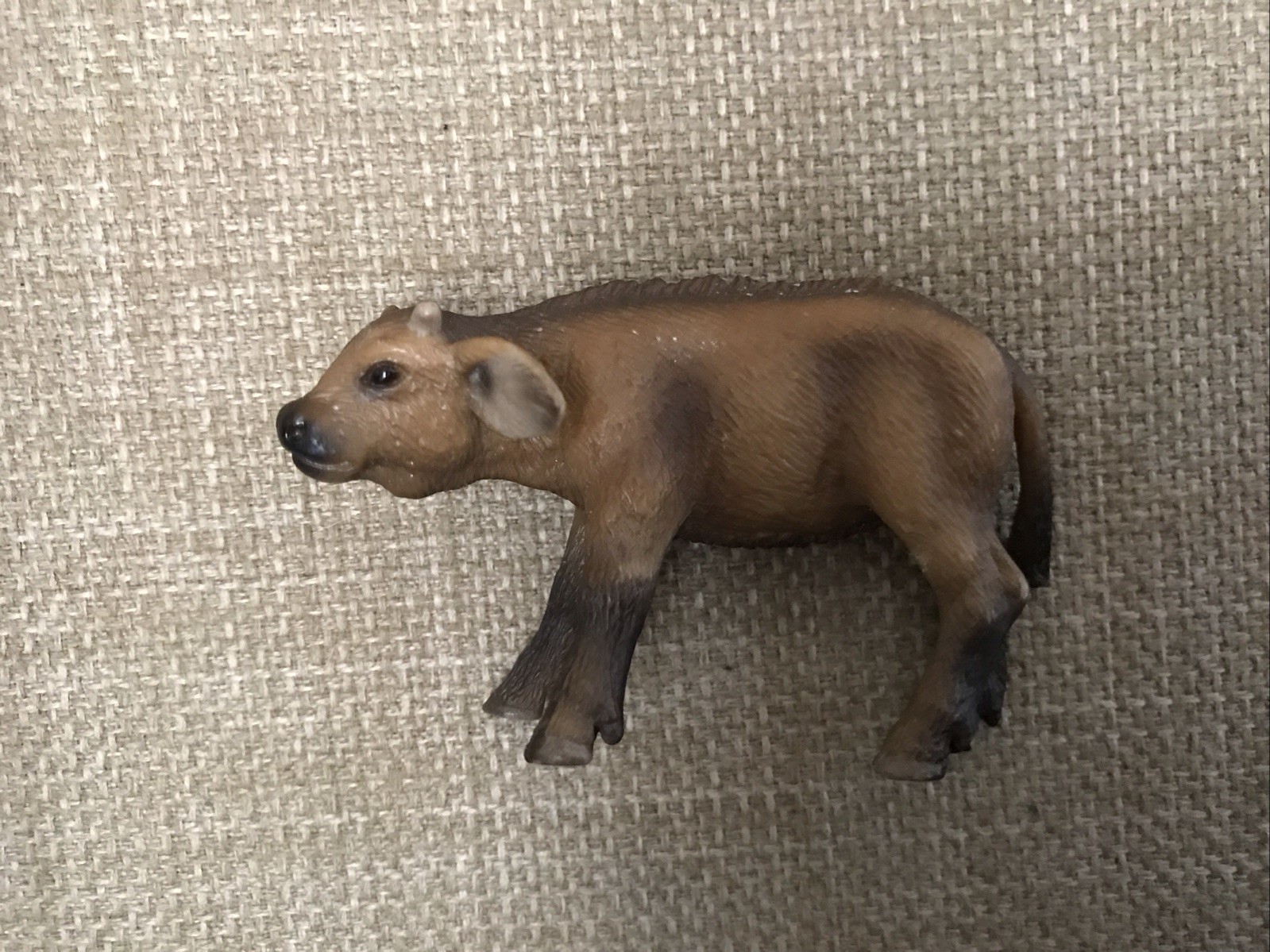 Schleich Water Buffalo Calf 2010 Retired Rare Wildlife Toy Schleich Water Buffalo Calf 2010 Retired Rare Wildlife Toy