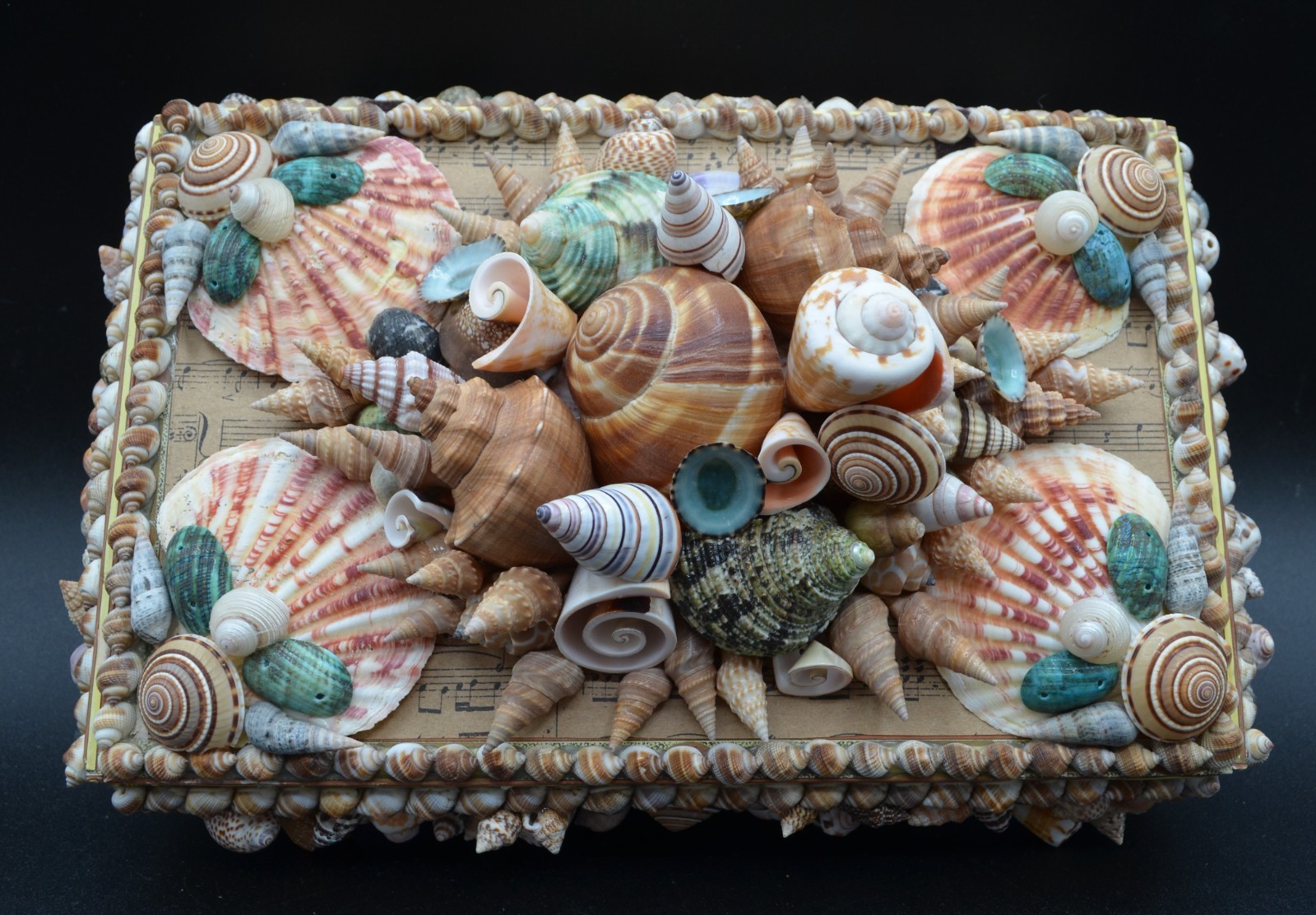 OOAK 2010 Seashell Decorated Don Thomas Cigar Box Jewelry Trinket Box Signed OOAK 2010 Seashell Decorated Don Thomas Cigar Box Jewelry Trinket Box Signed