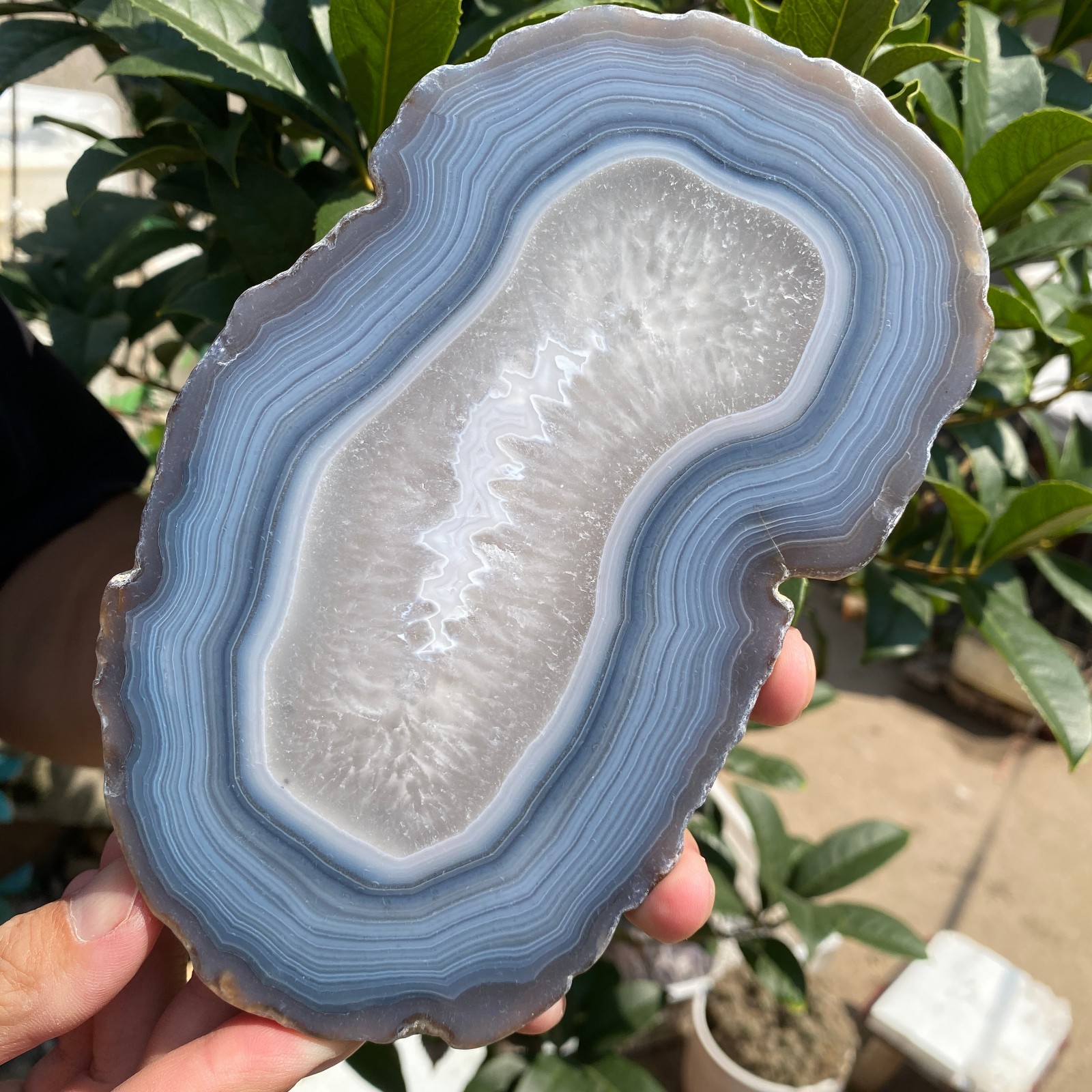 0.9LB Natural Banded Agate geode Quartz Crystal Rough mineral specimens Healing