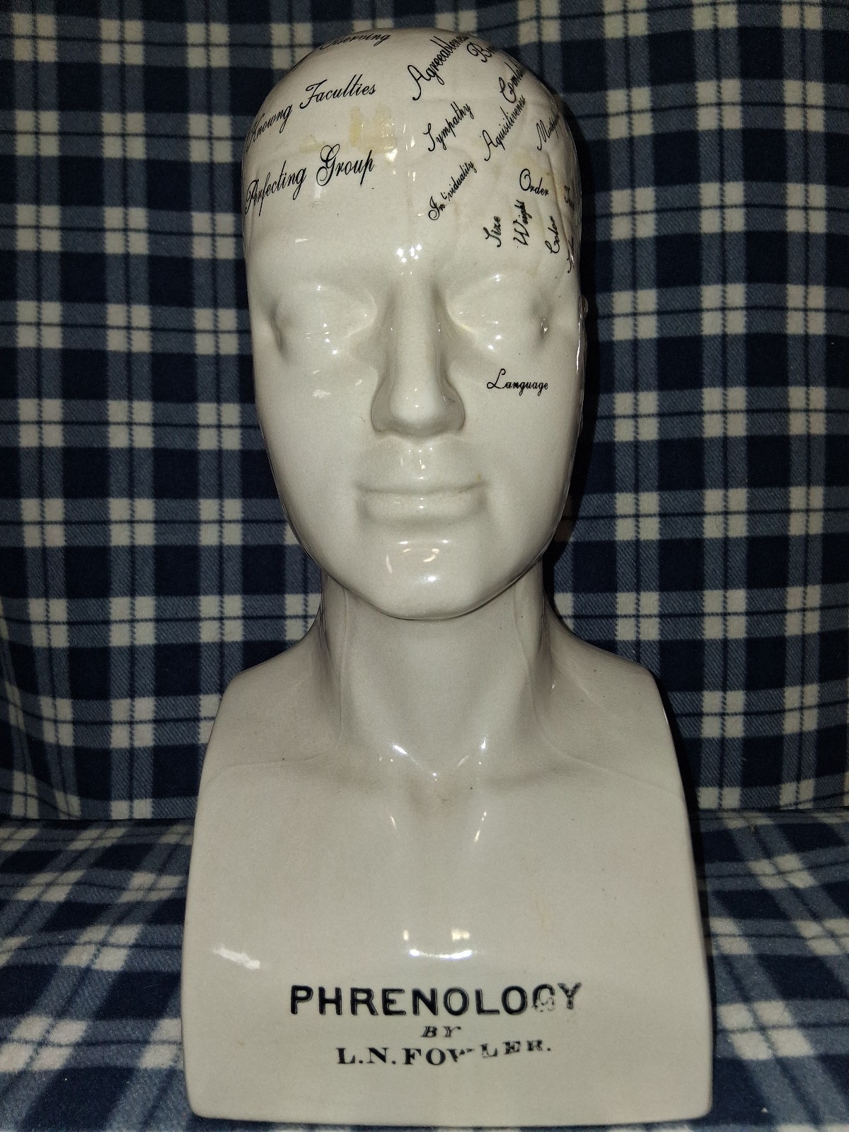 L.N Fowler Phrenology Head