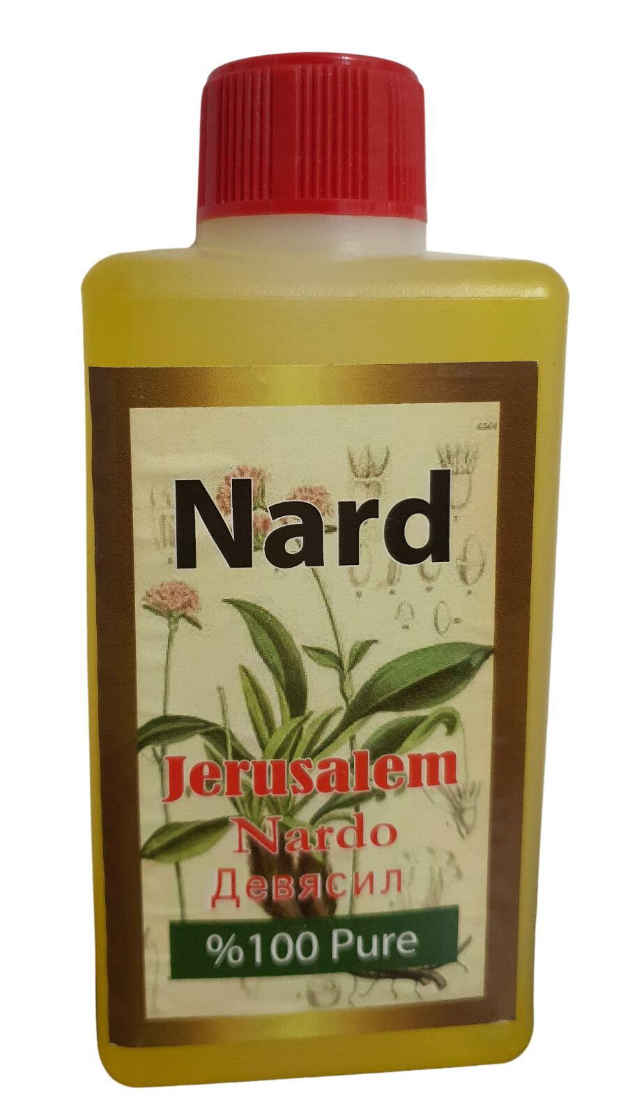 Nard Nardo 100% Pure Anointing Oil 280ml from Jerusalem Nard Nardo 100% Pure Anointing Oil 280ml from Jerusalem