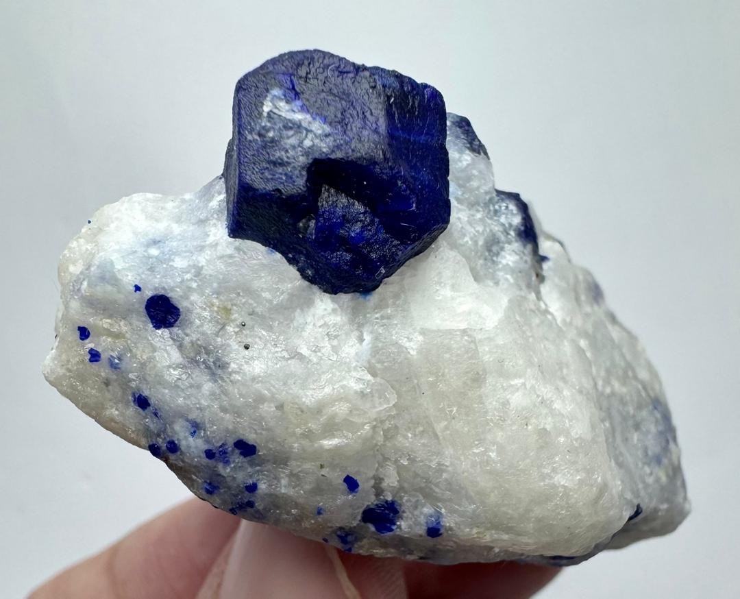 62 G-Top Quality Natural Lazurite Crystal on Matrix - Terminated Specimen - AFG