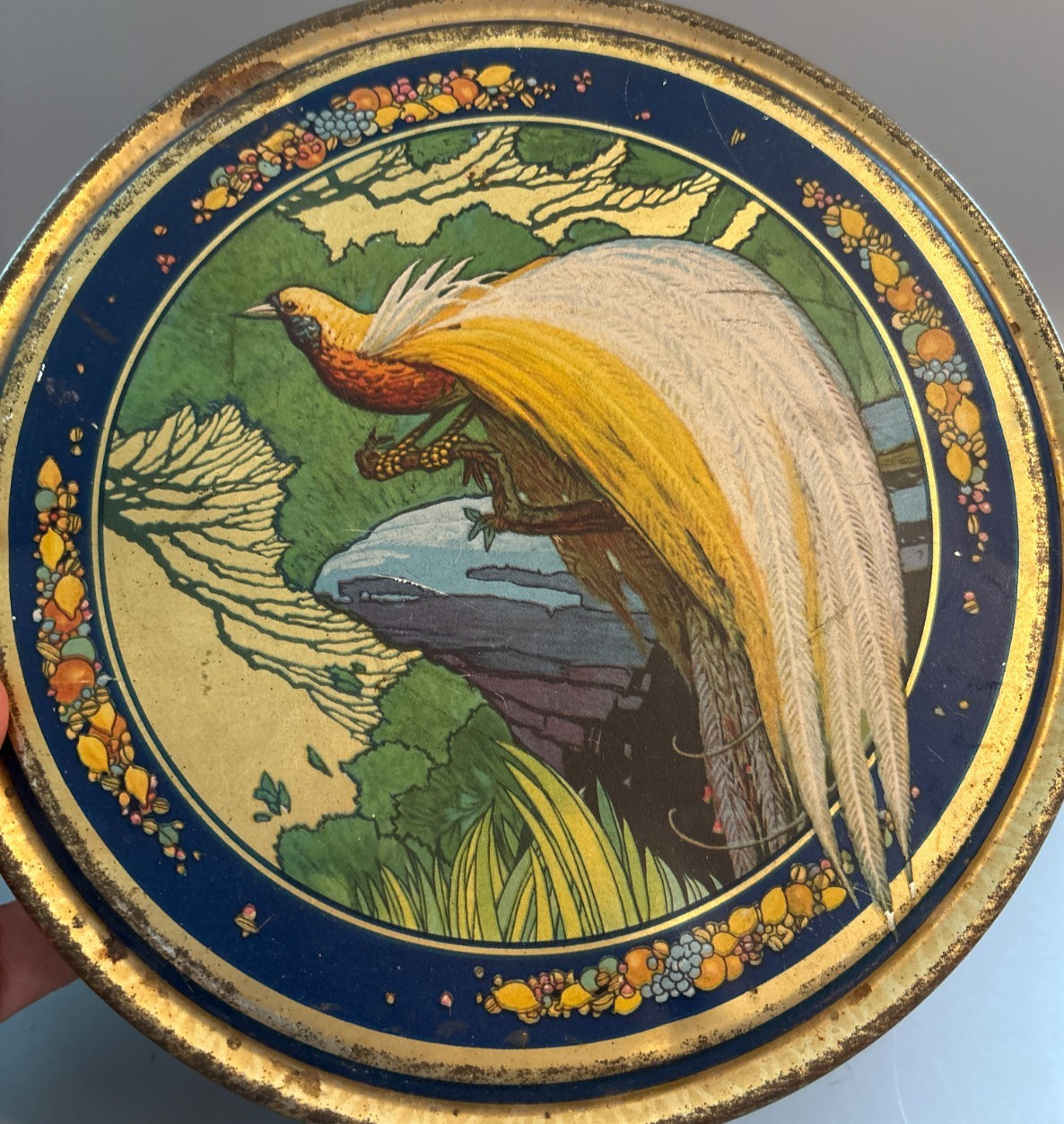 Vintage c1930s Ward Baking Co Paradise Fruit Cake Bird of Paradise Litho Tin