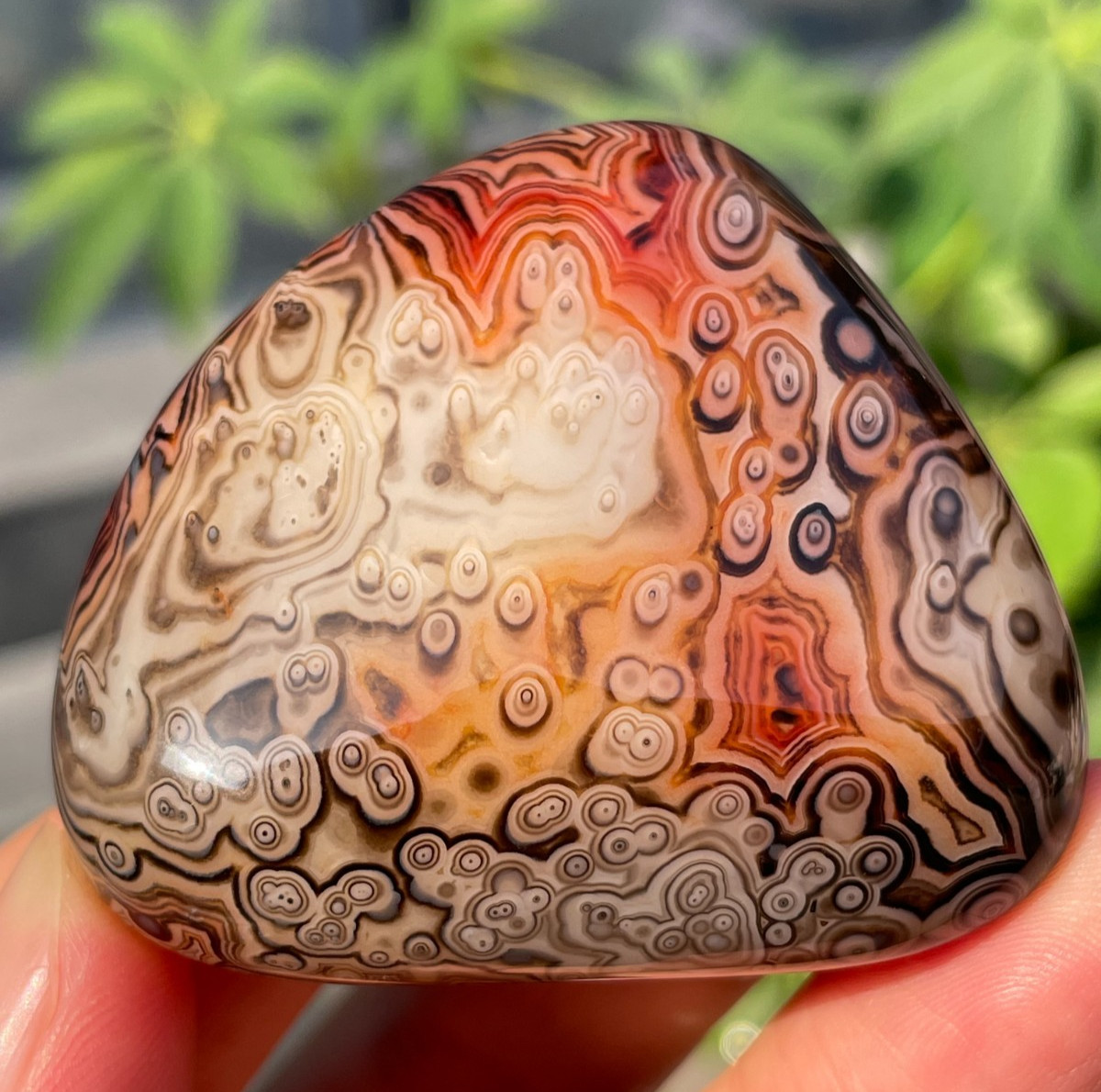 63g Natural Banded Agate Carnelian Polished Palm Stone Crystal Specimem Healing 63g Natural Banded Agate Carnelian Polished Palm Stone Crystal Specimem Healing