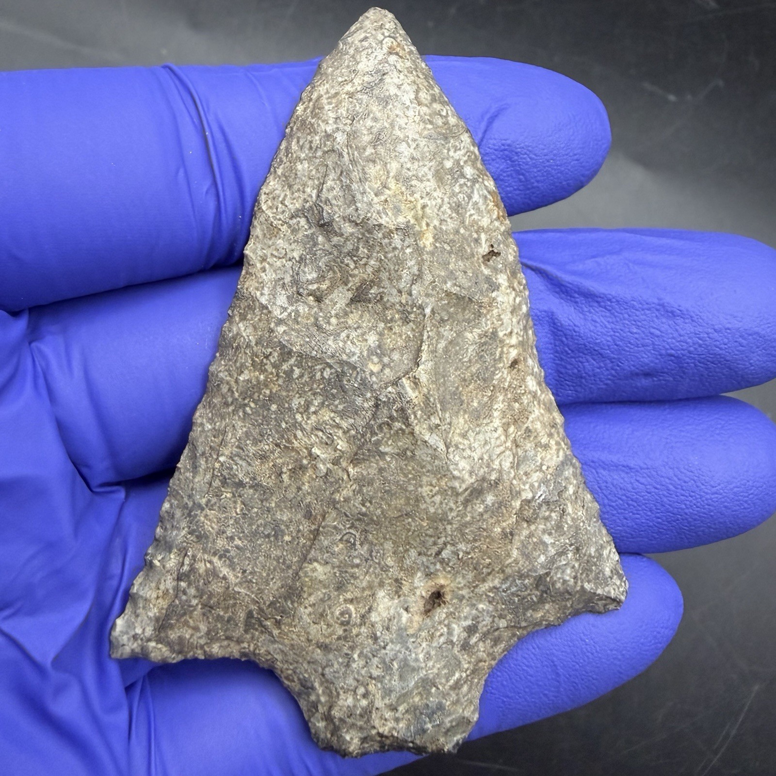 Indian Arrowhead Marion Florida 2.92” Authentic Artifact Indian Arrowhead Marion Florida 2.92” Authentic Artifact