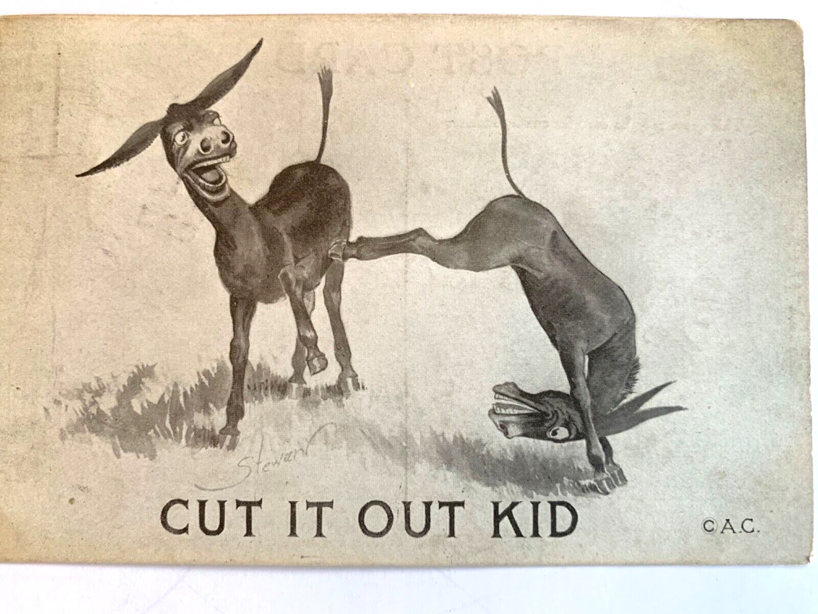 Donkey Postcard 1911 Cut It Out Kid Series HJB Humor Antique CAC Postmark Stamp