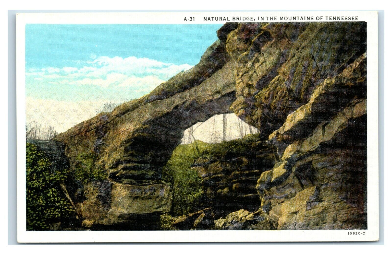 Postcard Natural Bridge in the Mountains of Tennessee unused W30