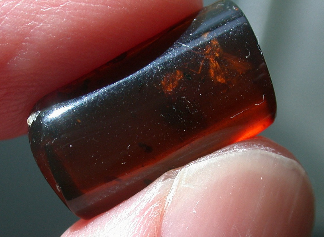 Beautiful Cherry RED Burmese Amber Fossil with Insects from Dinosaur Age