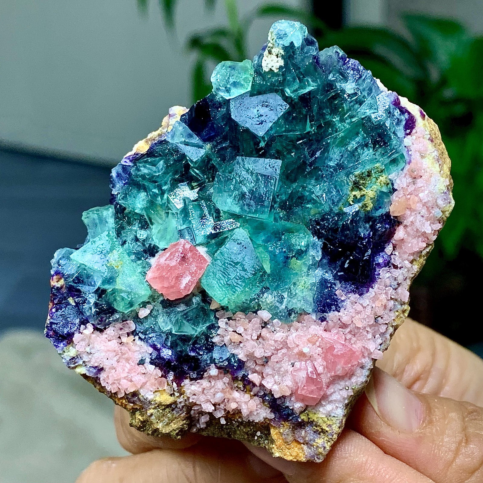 133G Natural rhodochrosite with fluorite crystal mineral specimen healing