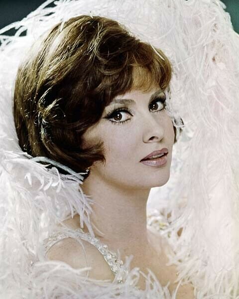 Gina Lollobrigida beautiful portrait for Come September 8x10 inch photo Gina Lollobrigida beautiful portrait for Come September 8x10 inch photo