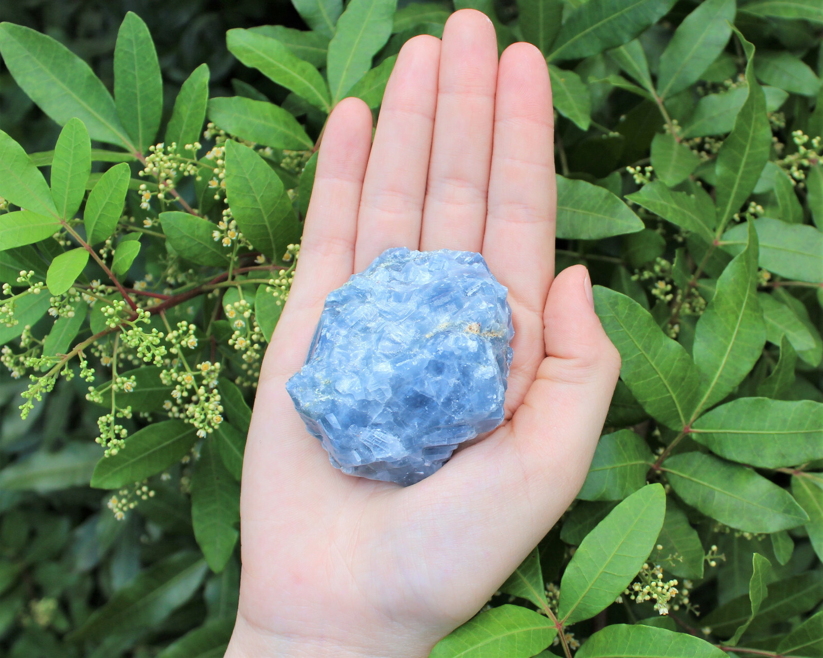 Rough Blue Calcite Natural Stones LARGE 2 Rough Blue Calcite Natural Stones LARGE 2