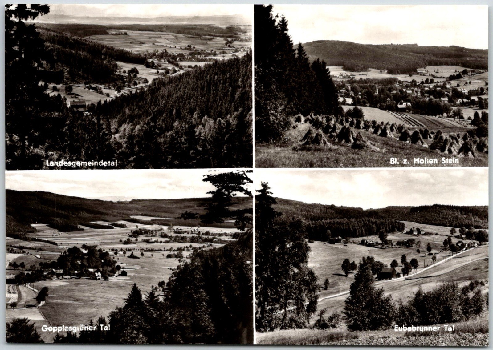 Valley Landscapes Forests Farmland Erlbach Germany RPPC Postcard