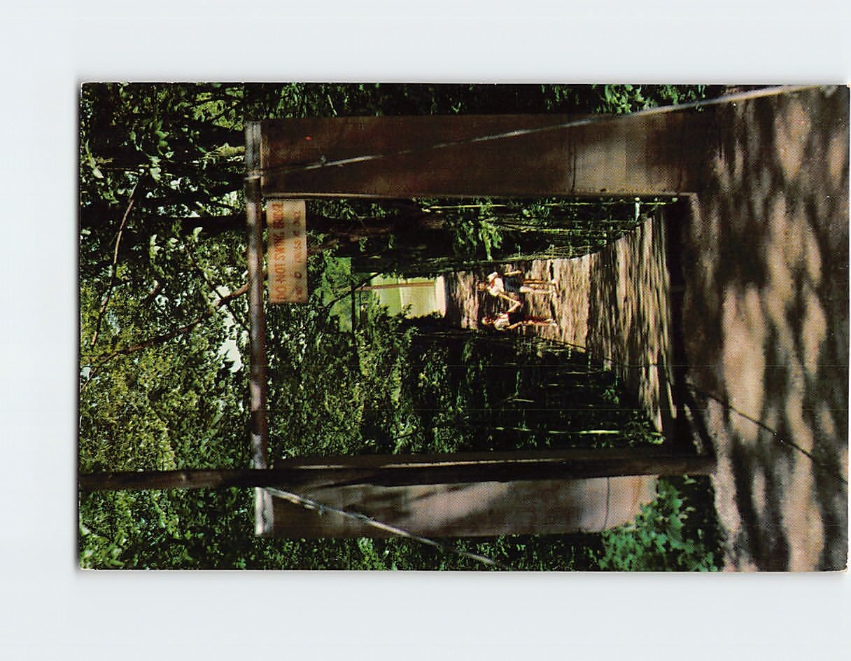 Postcard Swinging Bridge Camp Hantesa Camp Fire Girls Camp Boone Iowa