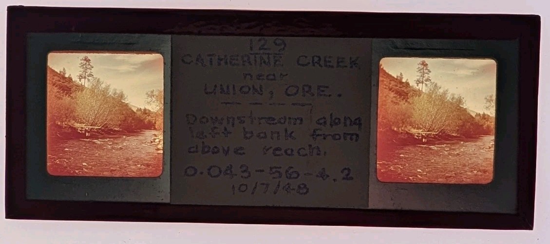 40\'s STEREOSCOPIC GLASS SLIDE CATHERINE CREEK NEAR UNION OREGON SGS2